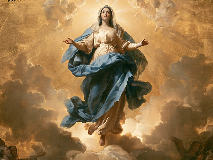 The Assumption of Mary — The Lifted Mantle in the Golden Sky