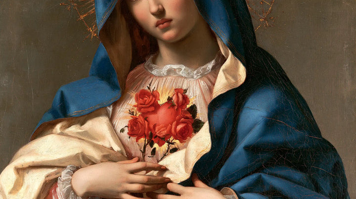The Immaculate Heart of Mary — Red Roses Beneath the Lace Collar