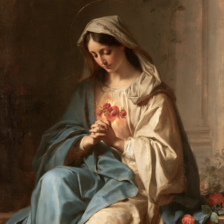 The Immaculate Heart of Mary — The Mantle Across Contemplative Knees