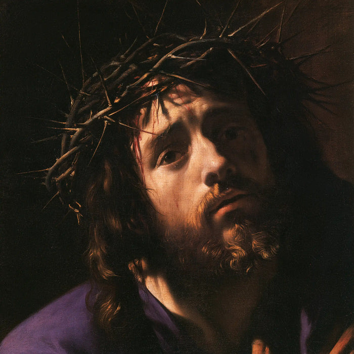 Jesus Crowned with Thorns — The Face’s Silent Question