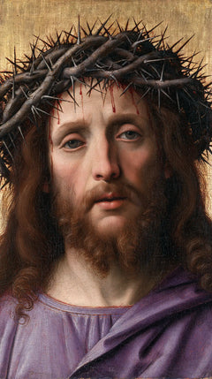 Jesus Crowned with Thorns — The Presence with Violet Folds